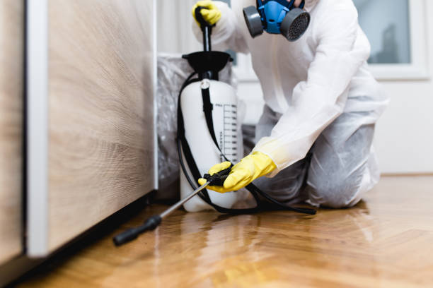 Professional Pest Control in Hampton, MD