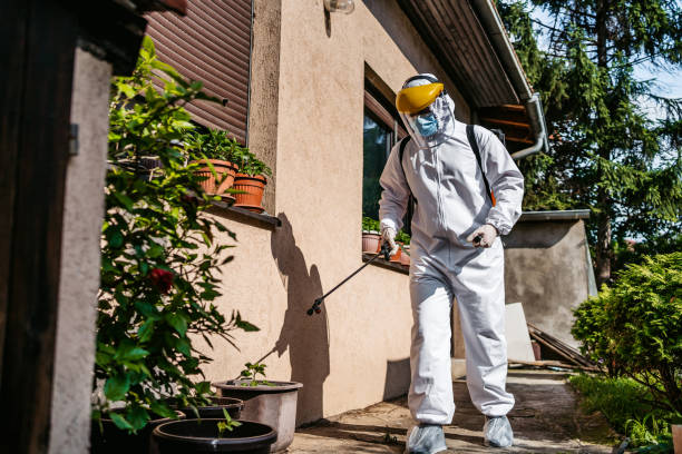  Hampton, MD Pest Control Pros