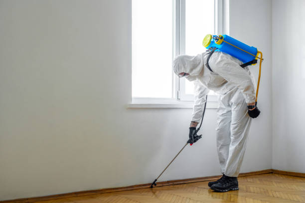 Best Pest Control Cost  in Hampton, MD