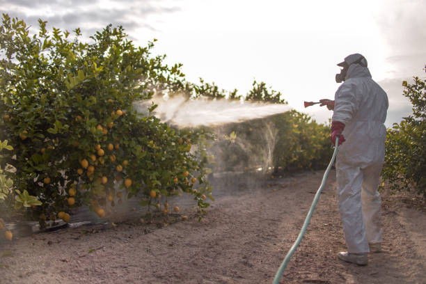 Best Local Pest Control Services  in Hampton, MD