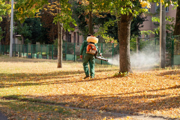 Pest Control Cost in Hampton, MD